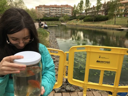 La Bustia peixos donats Llac Olesa