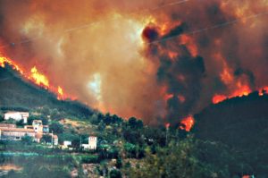 la bustia foc1994
