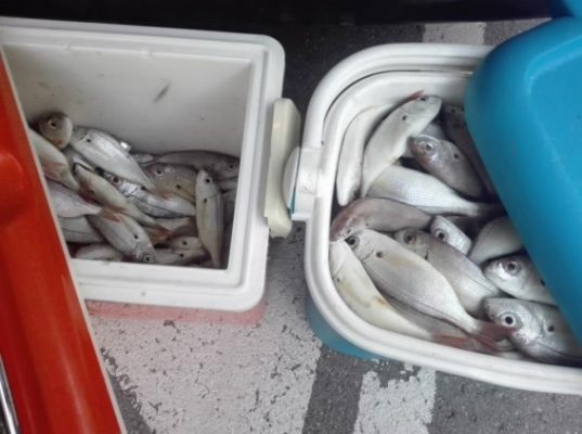 La Bustia venedor peix sense autoritzacio Policia Local Martorell
