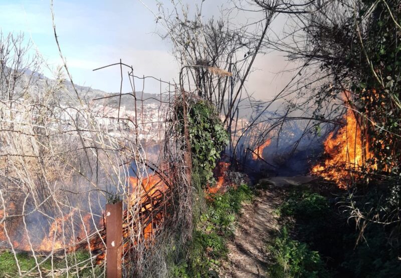 La Bustia incendi forestal Esparreguera (3)