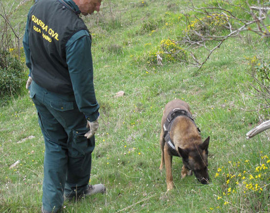 La Bustia gos rastreig Guardia Civil