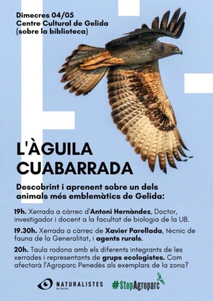 La Bustia cartell Aguila Cuabarrada