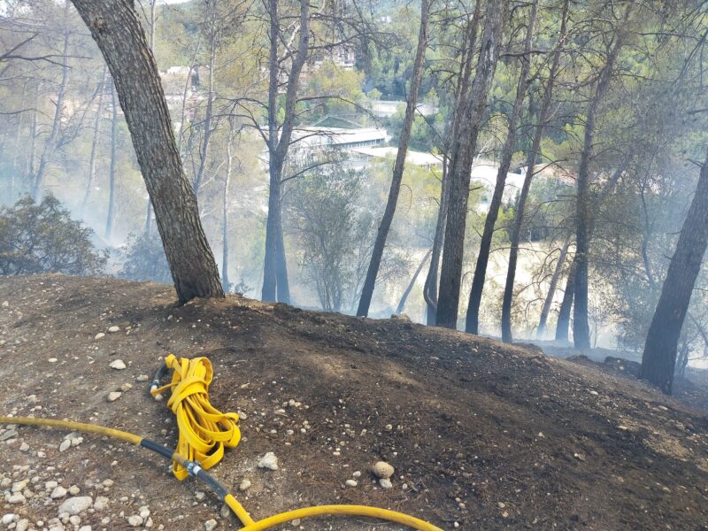 La Bustia incendi vegetacio Sant Andreu (2)