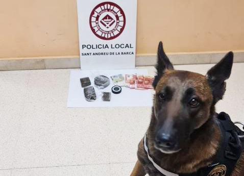 La Bustia detencio unitat canina Policia Local Sant Andreu