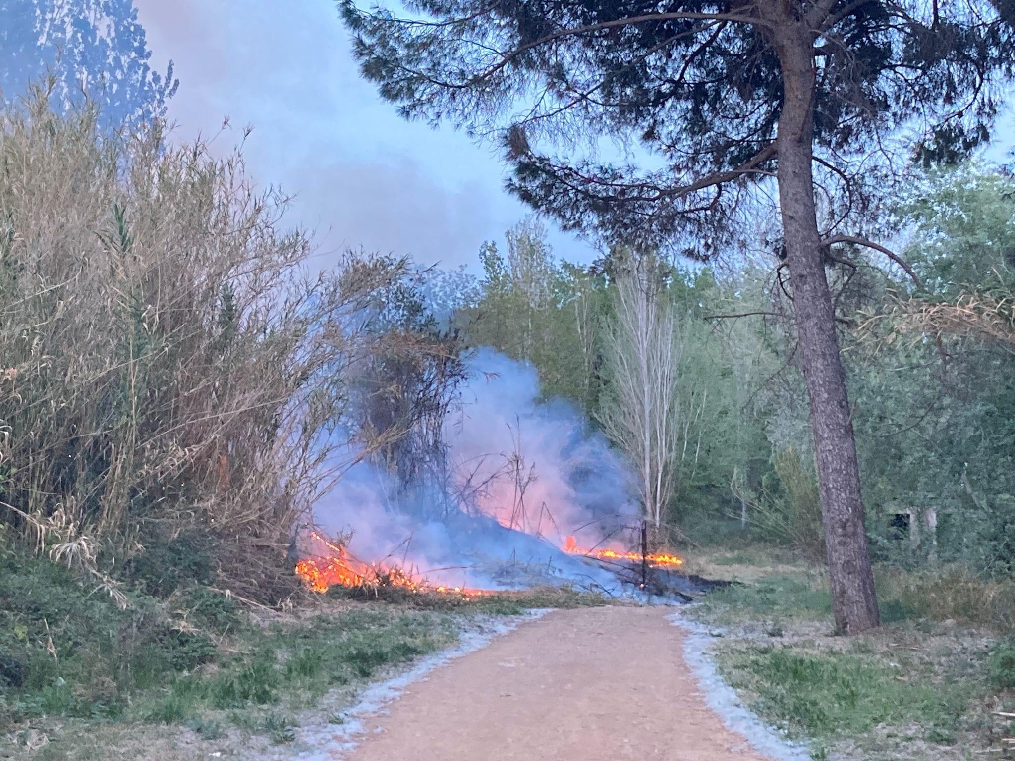 La Bustia incendi bosc al costat poligon Vilapou Olesa 1