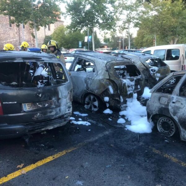 La Bustia incendi cotxes Martorell2