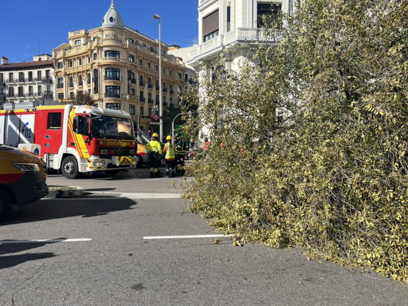 La Bustia jove que va morir per la caiguda arbre a Madrid era Esparreguera foto Emergencias Madrid