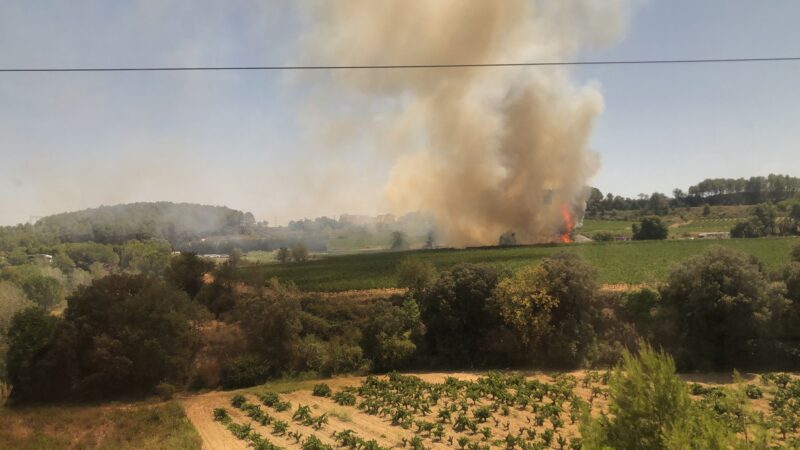 La Bustia vista des del tren Vilafranca Gelida per incendi a Subirats 31 agost 2024