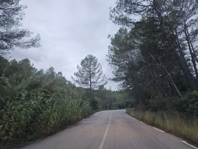 La Bustia carretera de Sant Andreu a Corbera 5