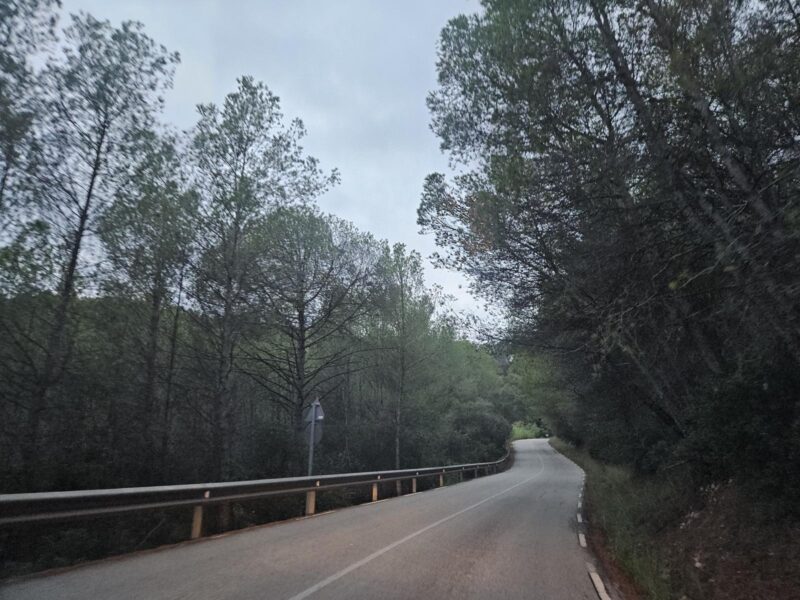 La Bustia carretera de Sant Andreu a Corbera 6