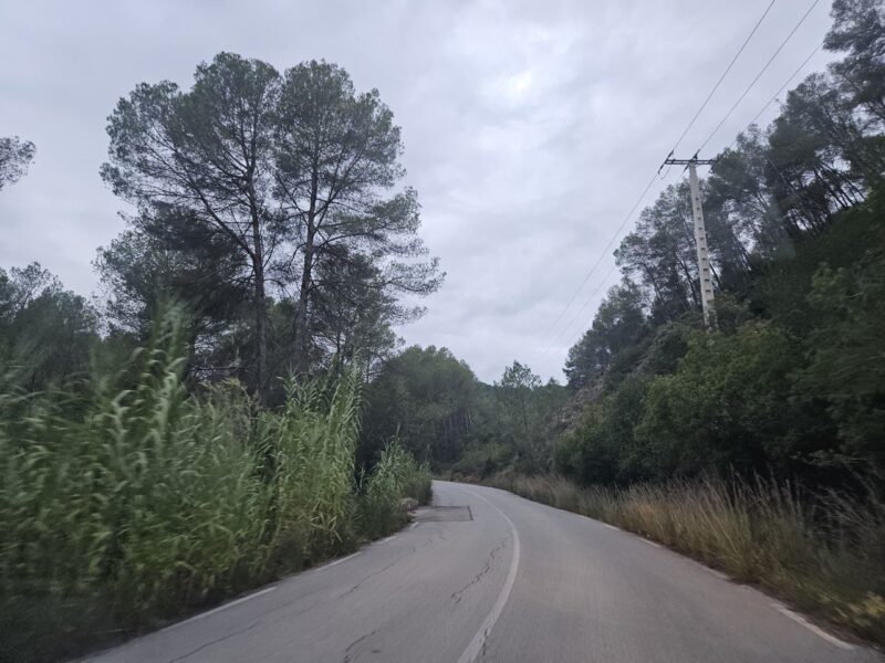 La Bustia carretera de Sant Andreu a Corbera