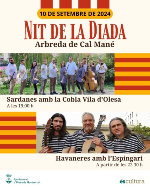 La Bustia cartell nit Diada Olesa