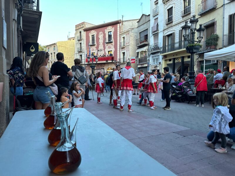 La Bustia Festa del Roser Martorell 24