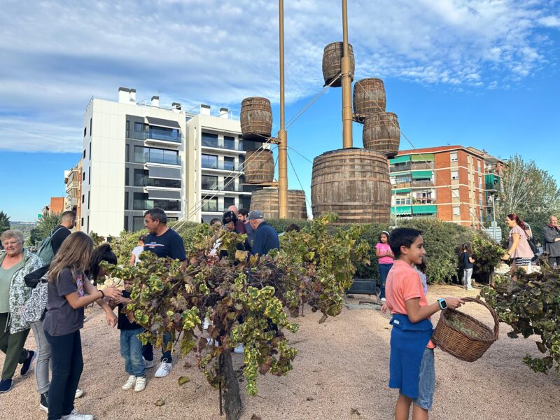 La Bustia Festa del Roser Martorell 5