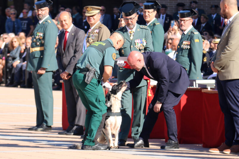 La Bustia dia Guardia Civil Sant Andreu 8