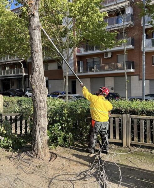 La Bustia ventada Esparreguera 4