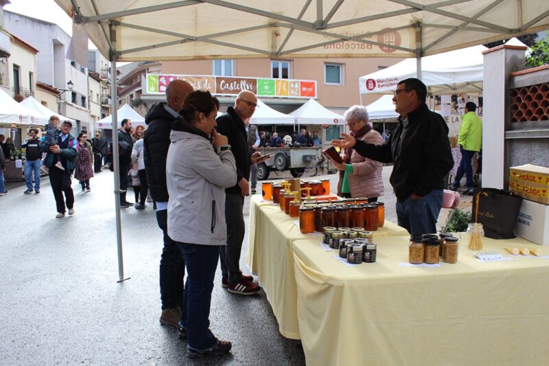 La Bustia Fira de la tardor Castellvi 7