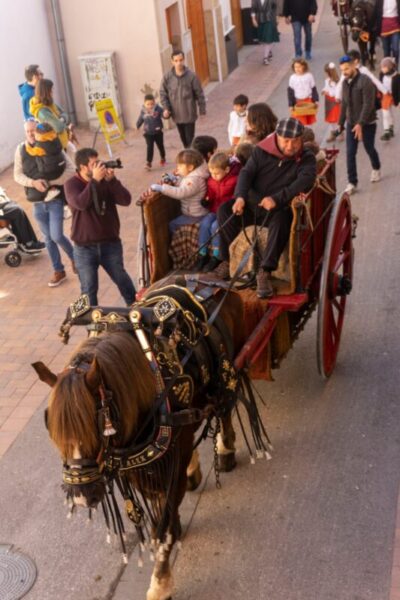 La Bustia Festes Sant Antoni Abat i Tres Tombs 2025 Esparreguera Quim Sitja 4