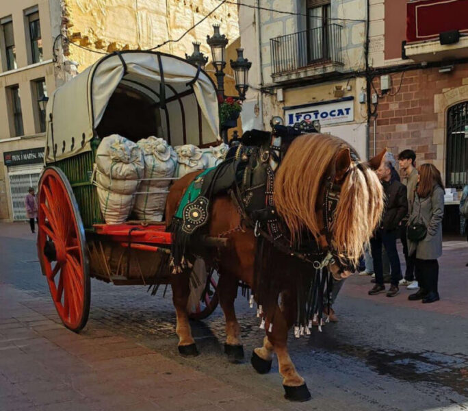 La Bustia Tres Tombs 2025 Martorell 5