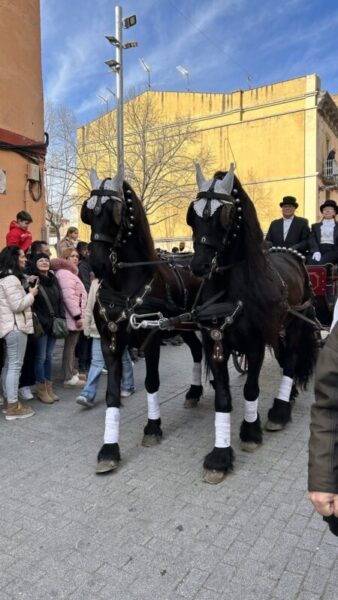 La Bustia Tres Tombs Esparreguera 6