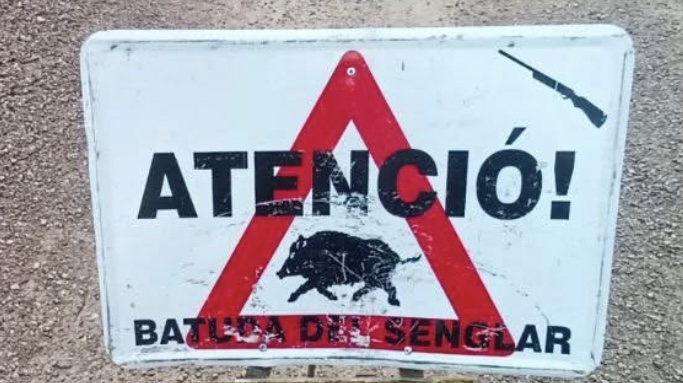 La Bustia cartell batuda senglar arxiu Gelida Castellvi