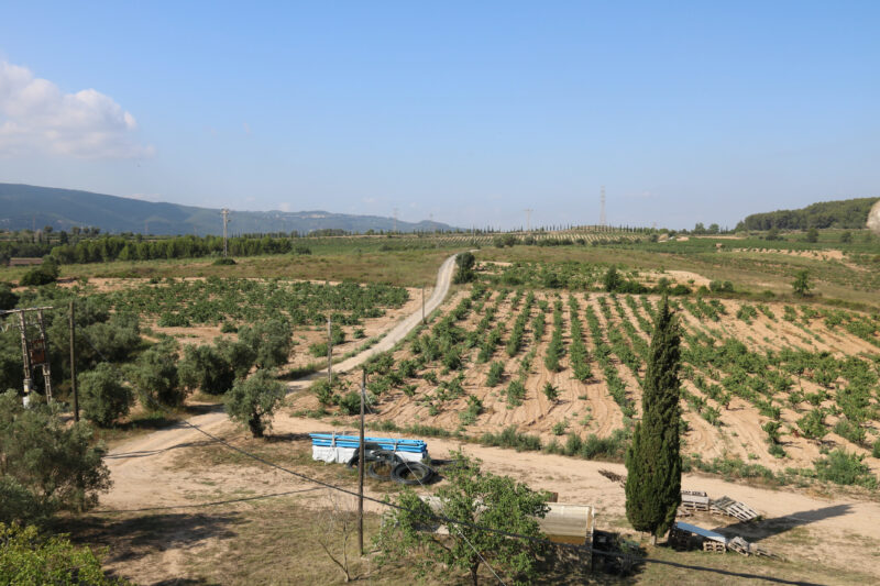 La Bustia conreus Agroparc