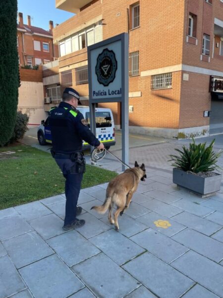 La Bustia gos lligat a Sant Andreu 1