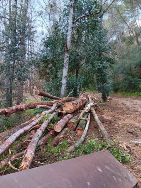 La Bustia tala arbres Sant Esteve 4