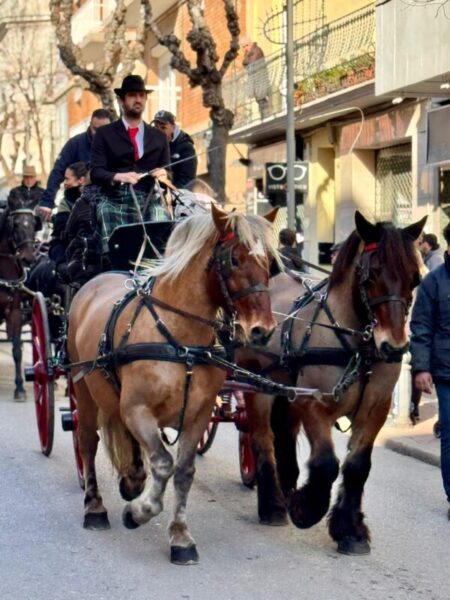La Bustia Festa Tonis Tres Tombs Olesa 2025