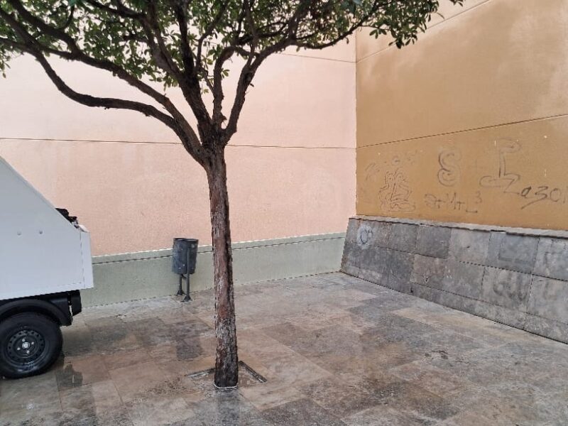 La Bustia acte vandalic pintades Abrera 5