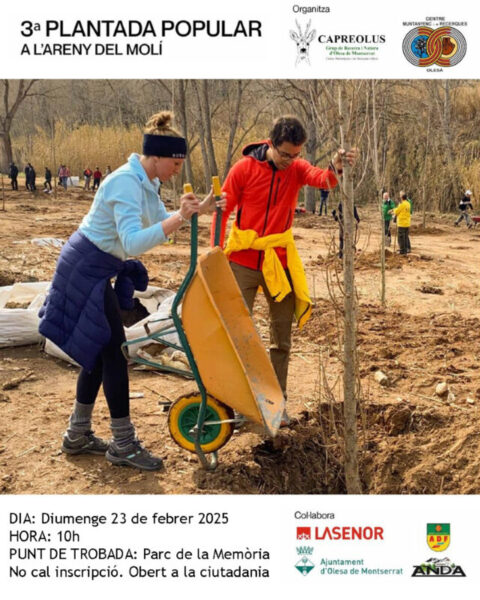 La Bustia cartell plantada popular areny del moli