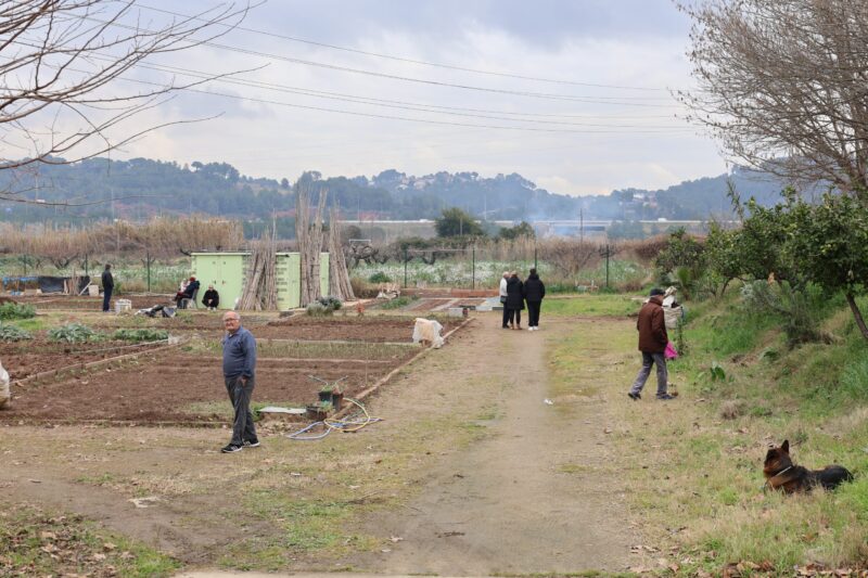 La Bustia lliurament claus horts urbans Martorell 2