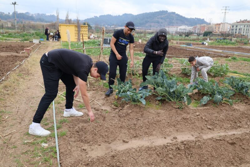 La Bustia lliurament claus horts urbans Martorell 4