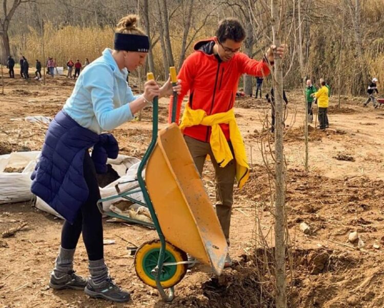 La Bustia plantada Areny del moli