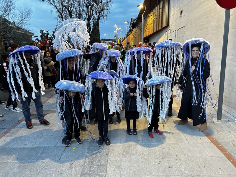 La Bustia Carnaval Sant Esteve 4