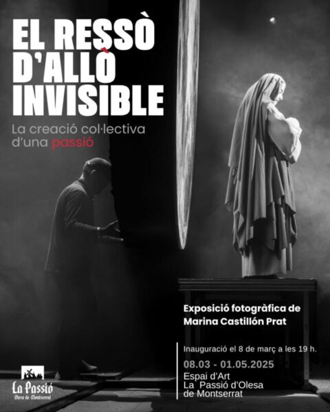 La Bustia cartell El resso allo invisible