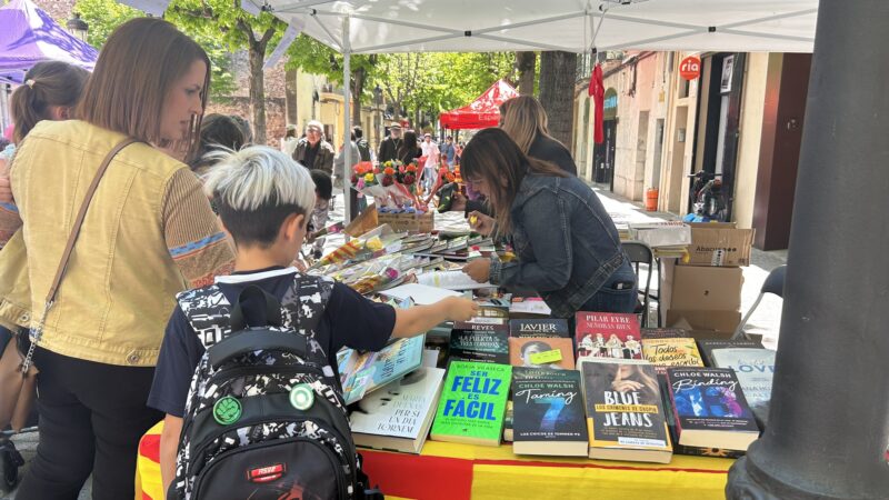 La Bustia Sant Jordi Esparreguera 2025 4
