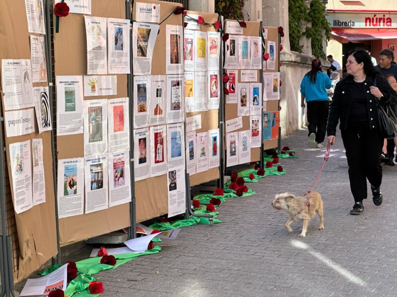 La Bustia Sant Jordi Olesa 2025 5