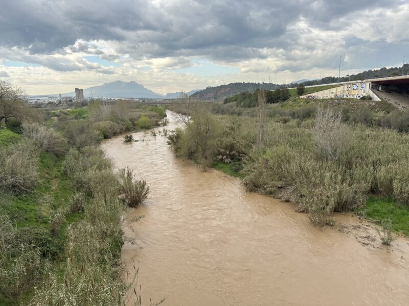 La Bustia riu Llobregat Martorell 26 mar 2025 1