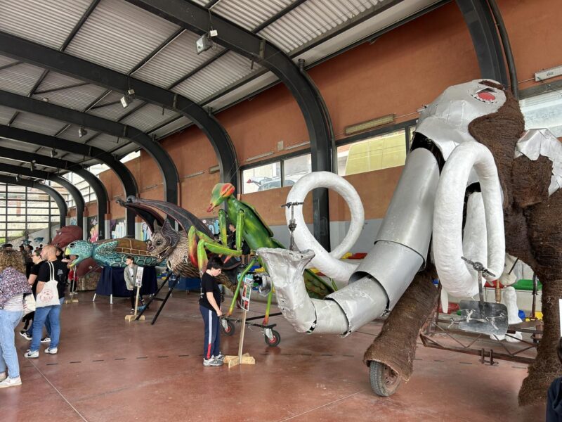 La Bustia 25 aniversari Cadells de Drac Sant Esteve 6