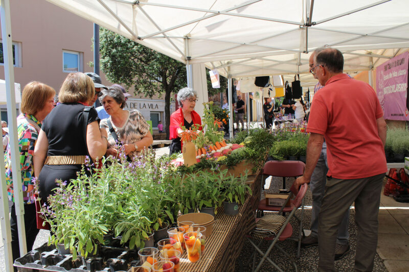 La Bustia Festa Major Castellvi 11