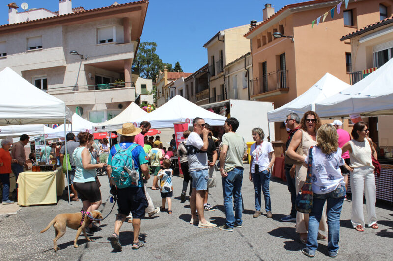 La Bustia Festa Major Castellvi 13