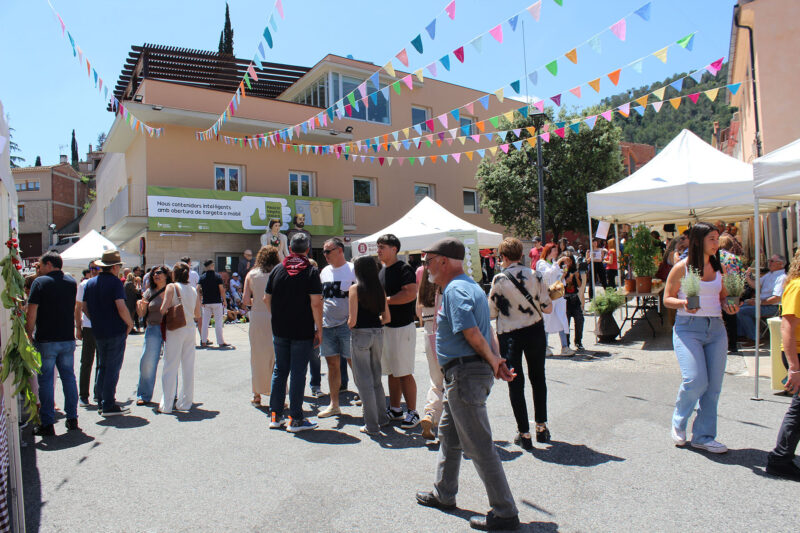 La Bustia Festa Major Castellvi 14