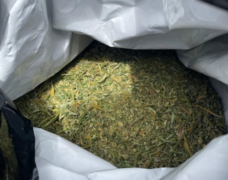 La Bustia marihuana Masquefa 2 maig 2