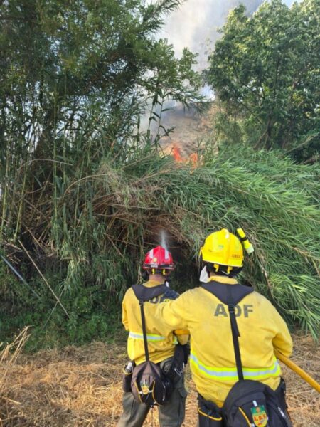 La Bustia incendi Sant Esteve Martorell