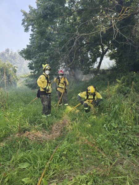 La Bustia incendi Sant Esteve Martorell