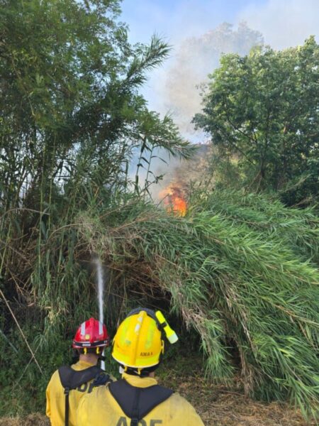 La Bustia incendi Sant Esteve Martorell
