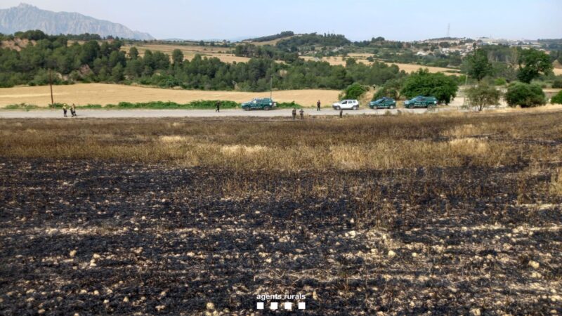 La Bustia incendi el Maset Masquefa 15 juny 3