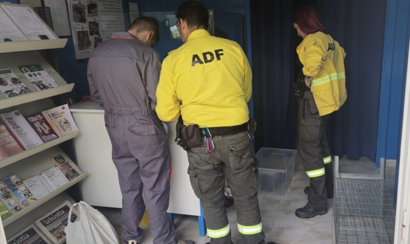 La Bustia tortugues Esparreguera 1