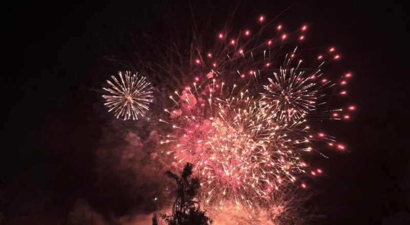 La Bustia Festa Major Abrera 2025